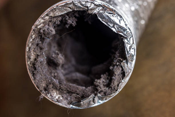 Best Best Air Duct Cleaning Near Me  in Gate City, VA
